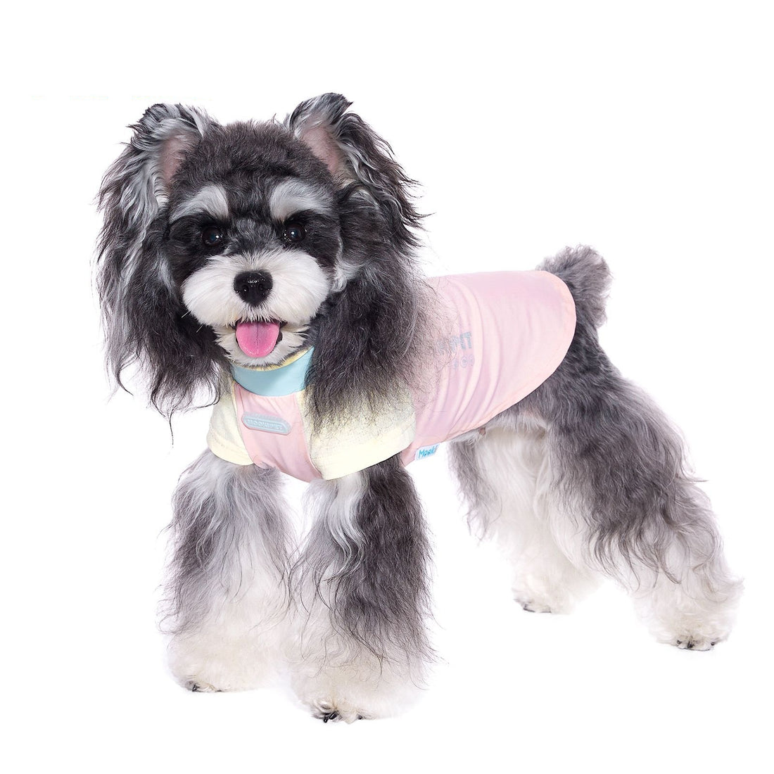 Bichon Schnauzer Small Dog Clothes