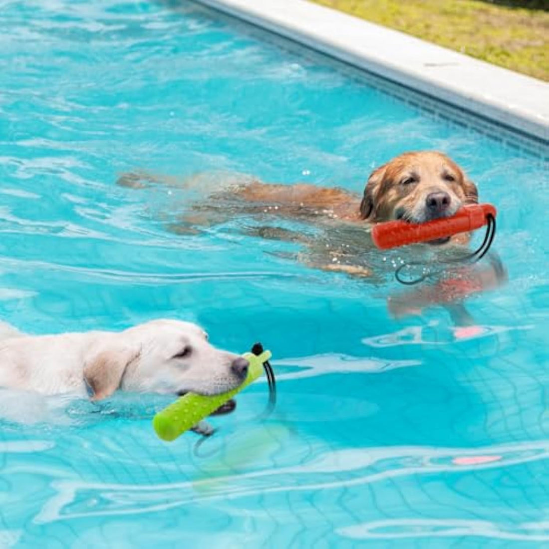 Floating Dog Pool Toys