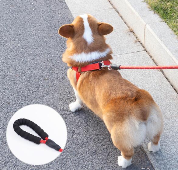 Reflective Pet Dog Leash Collar Set