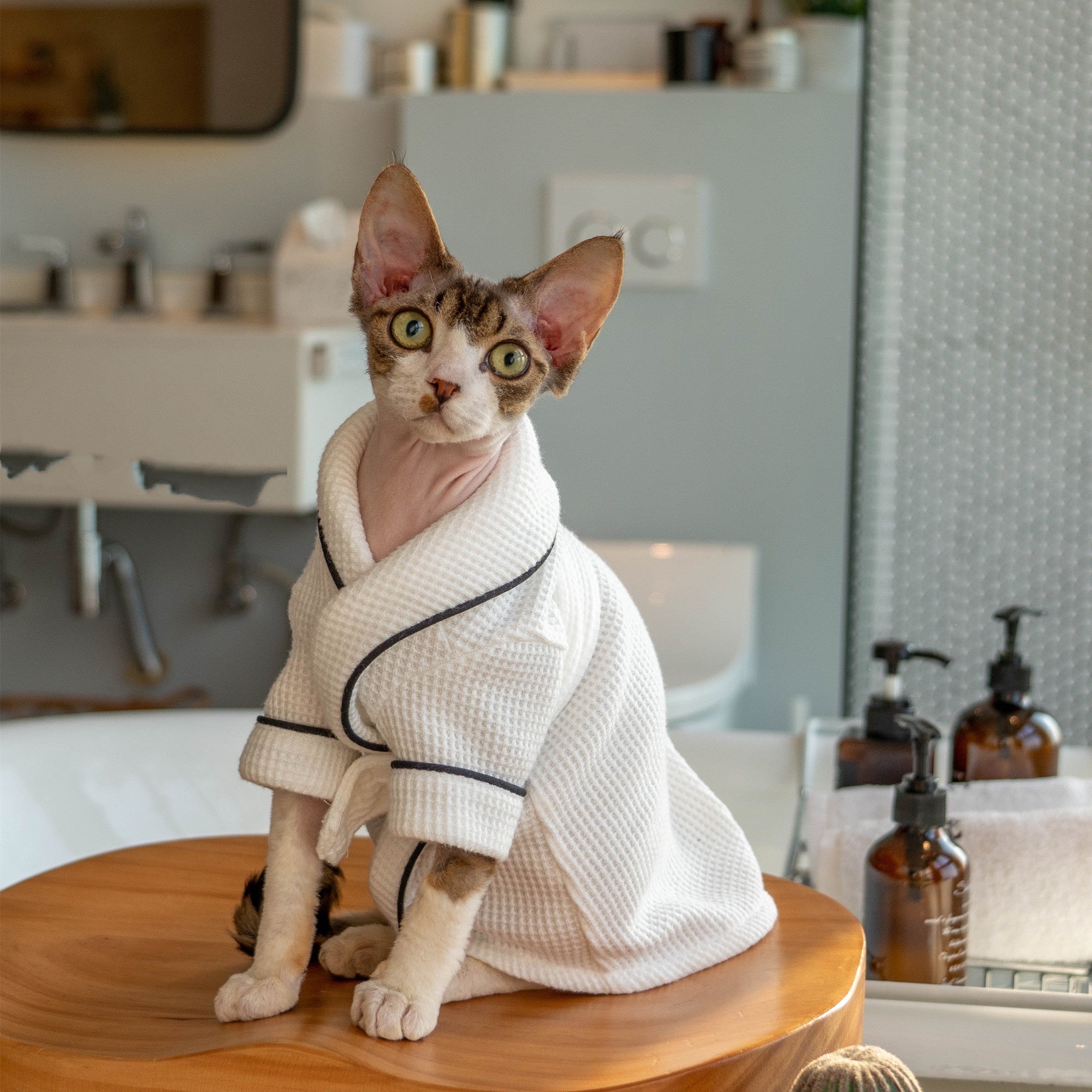 Pet Bathrobe And Bath Towel