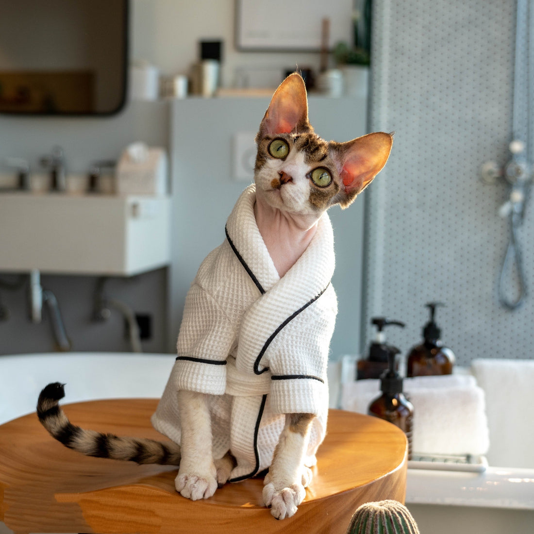 Pet Bathrobe And Bath Towel