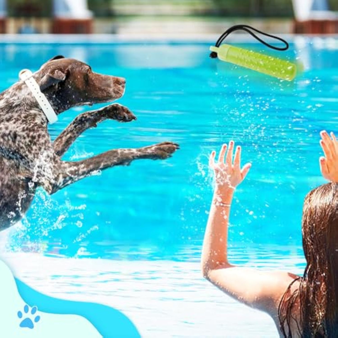 Floating Dog Pool Toys