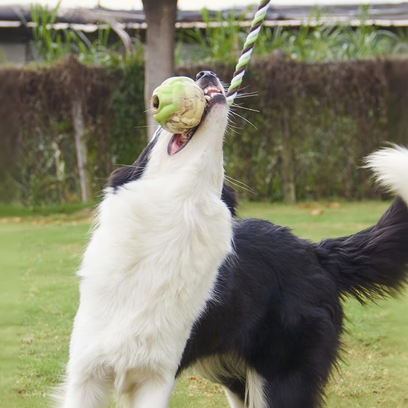 Interactive Puppy Toys For Tug-of-war