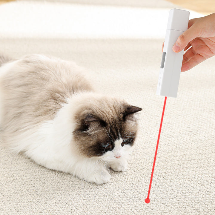 Pets Nail Piercing Device With Light