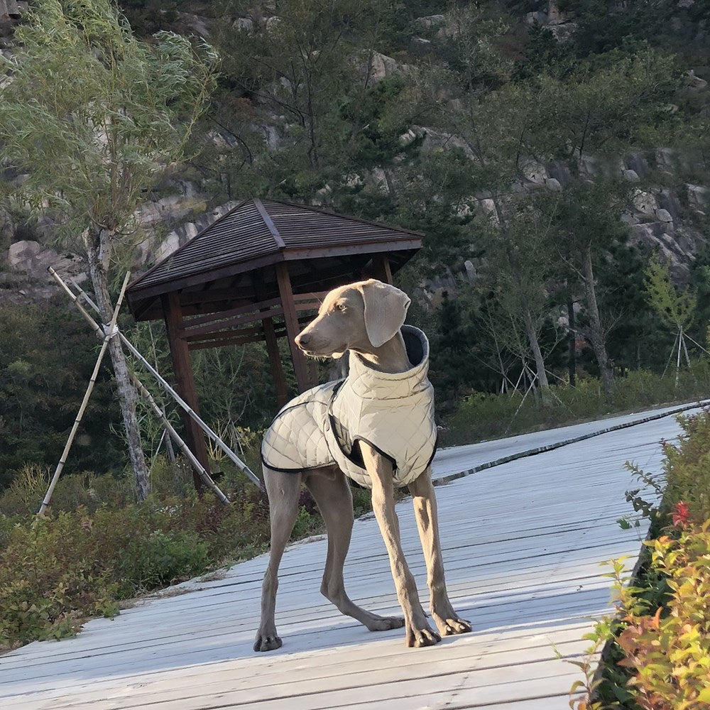 Full-body Reflective Jacket For Dogs