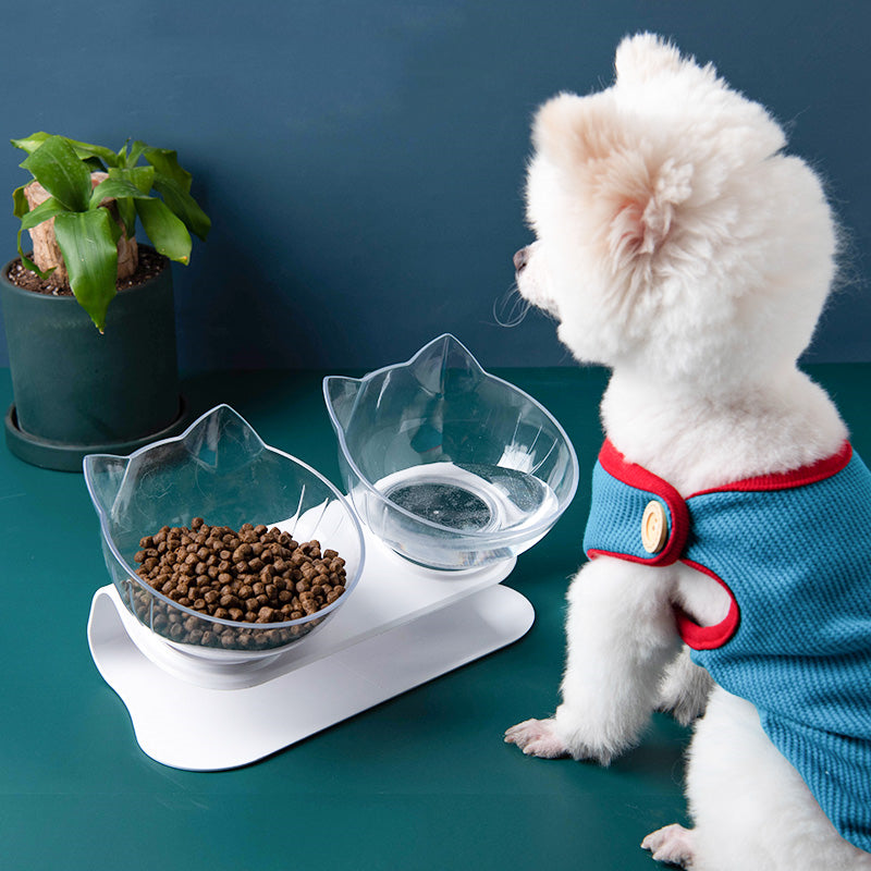 Oblique Mouth Transparent Single Pet Bowl