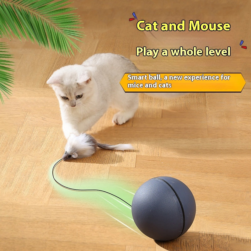 Cat Toys Mouse Teaser Ball Funny Moving Toy