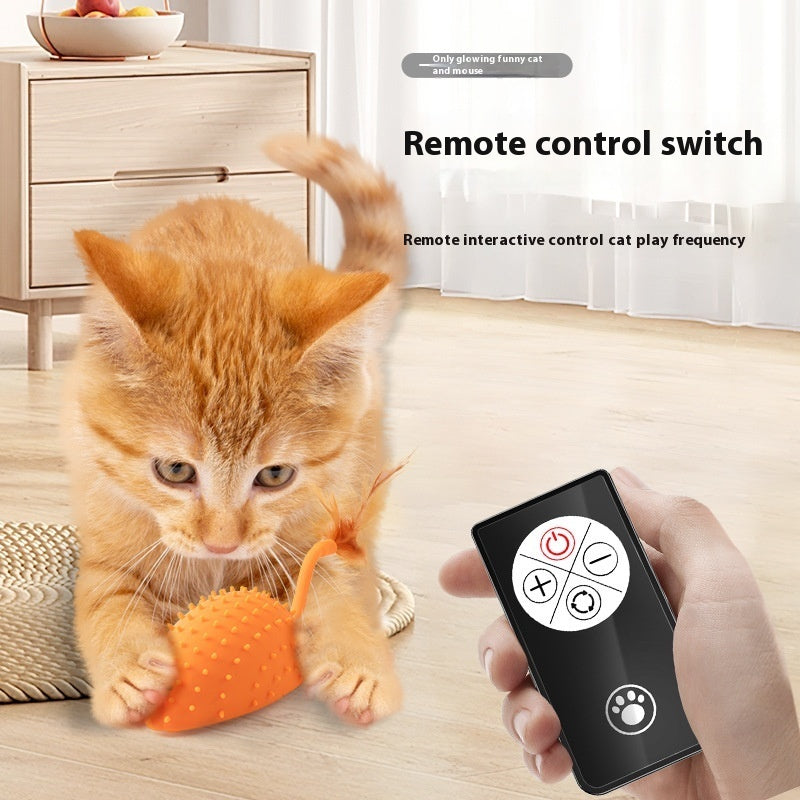 Remote Control Silicone Mouse Cat Toy
