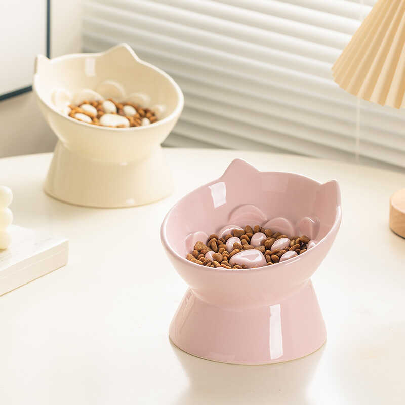 Ceramic Slow Feeding Bowl Cat And Dog