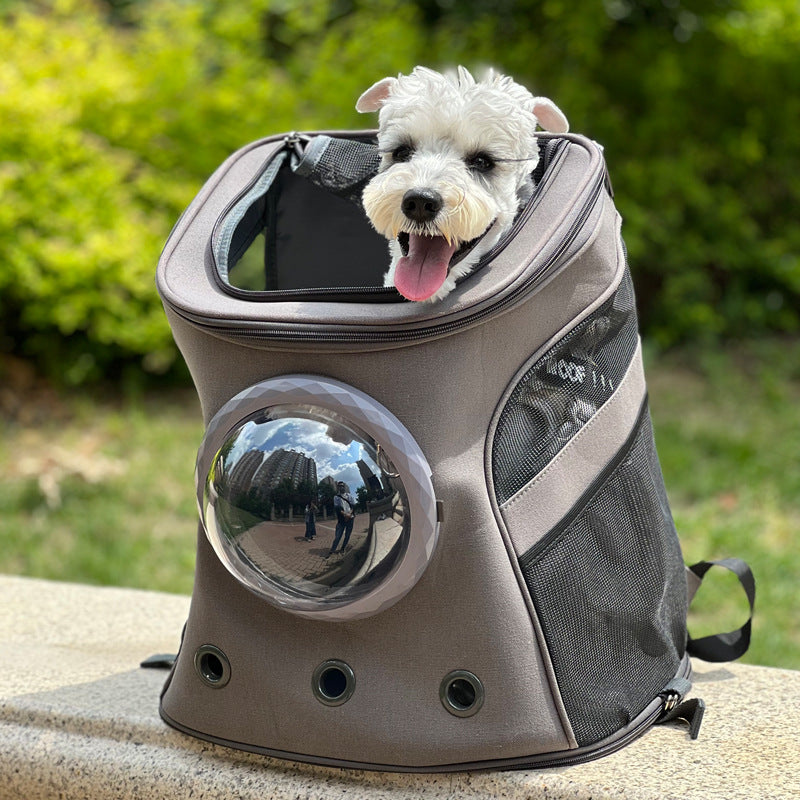 Cat And Dog Carrier Portable For Medium-sized Dogs