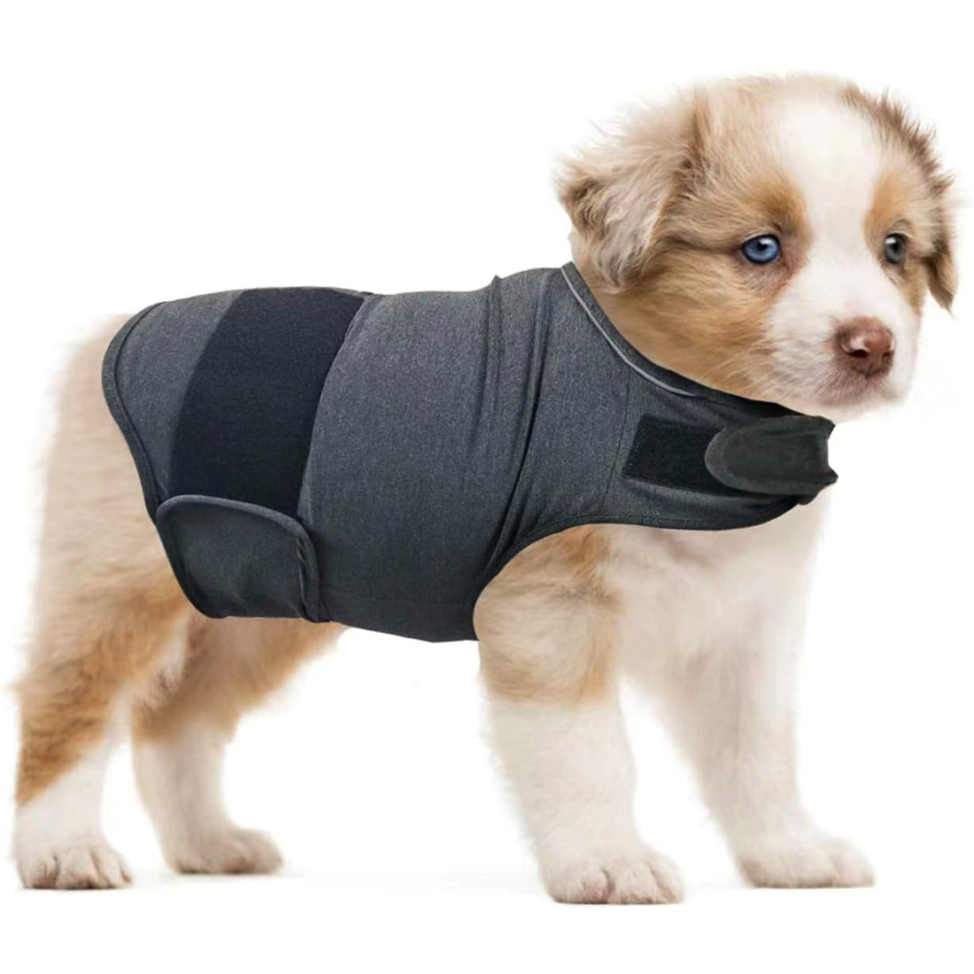 Pet Soothing Clothes For Dogs