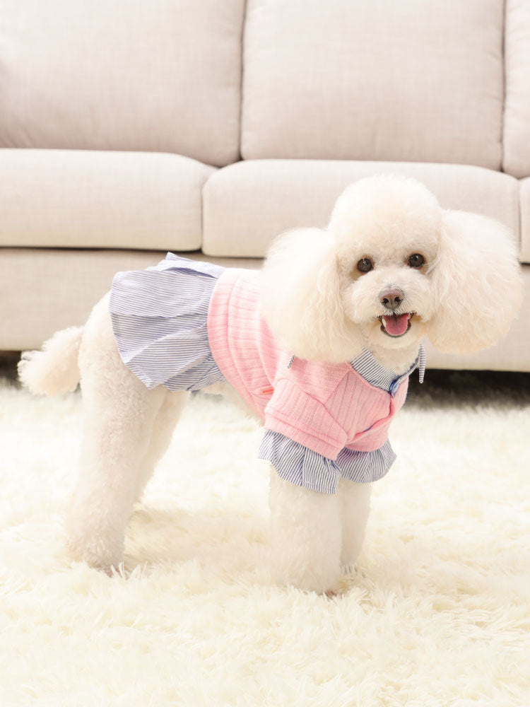 Pet Trendy Autumn And Winter Clothes
