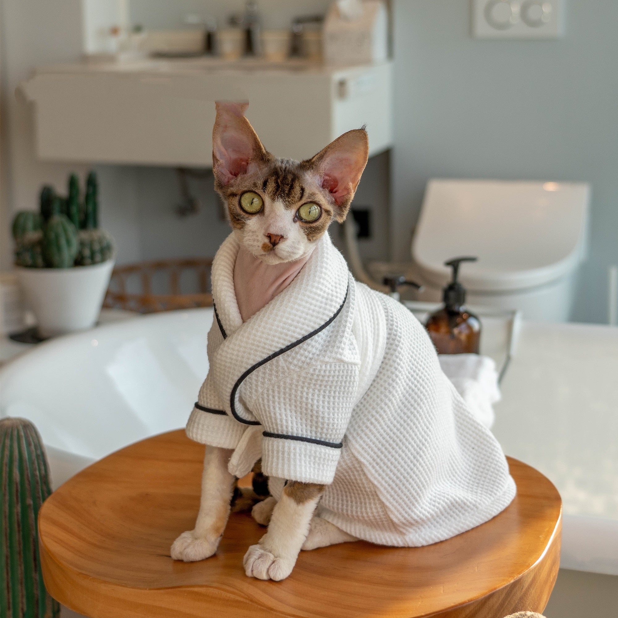 Pet Bathrobe And Bath Towel