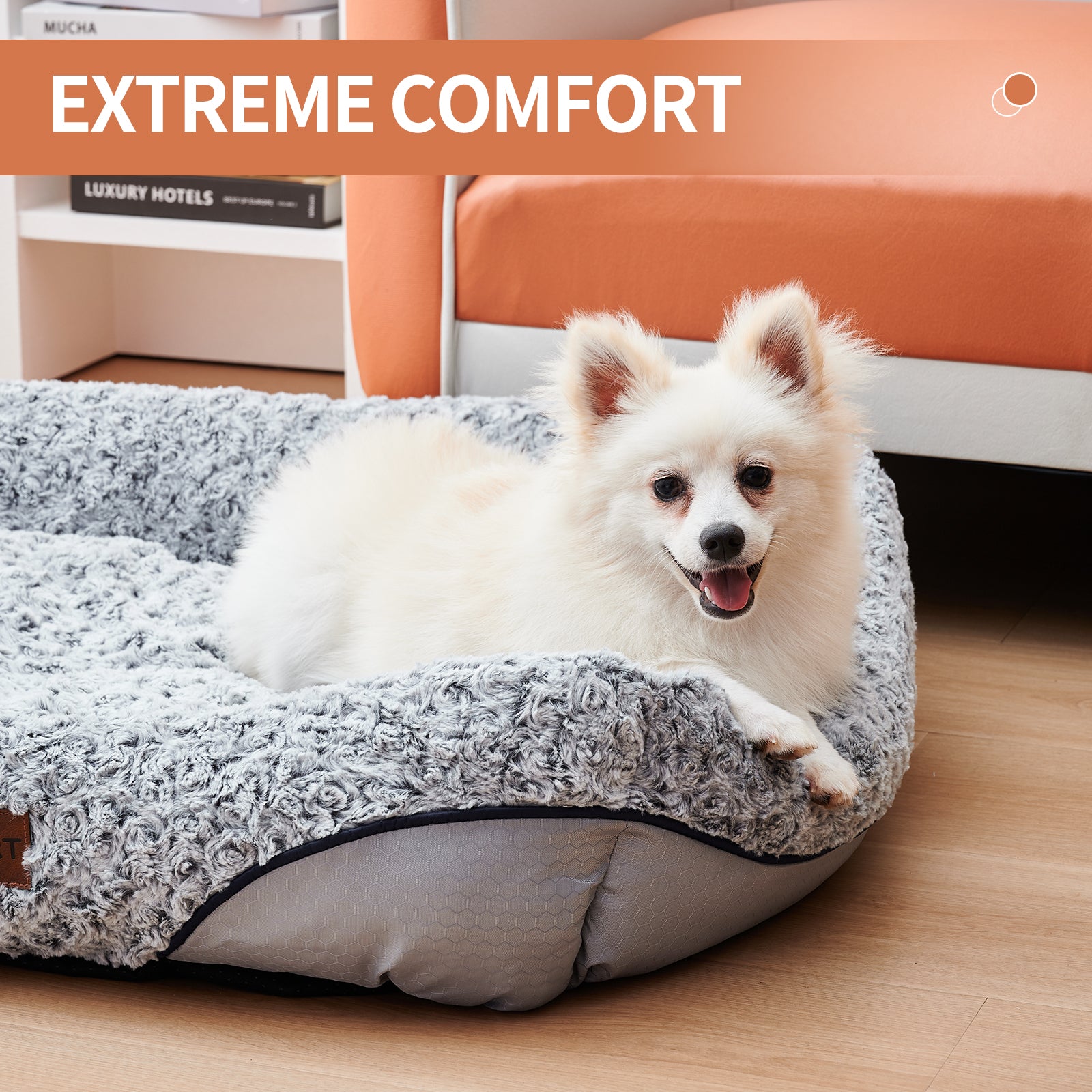 Removable Cushion Calming Dog Sofa Beds