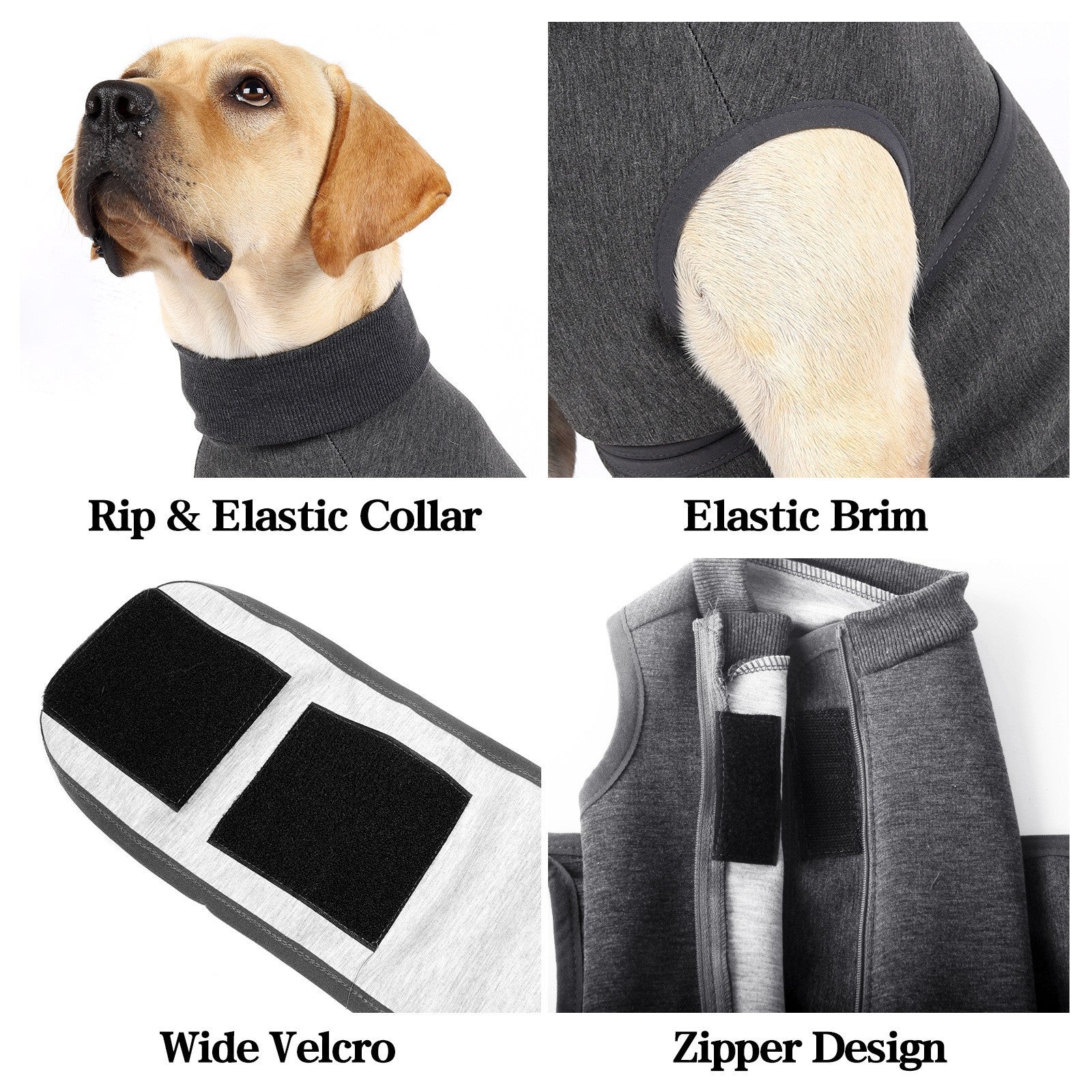 Pet Polyester Comfort Cotton Jacket