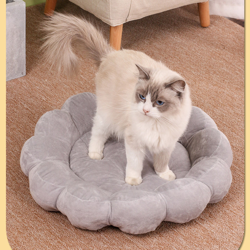 Multi Color Petal Dog And Cat Nest