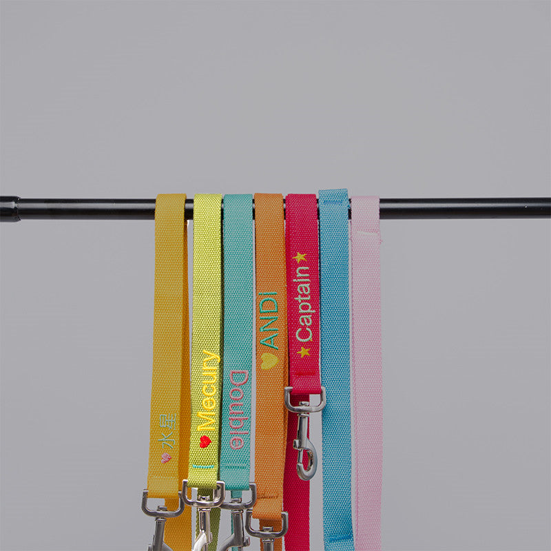 Short Leg Captain Dog Leash 120cm