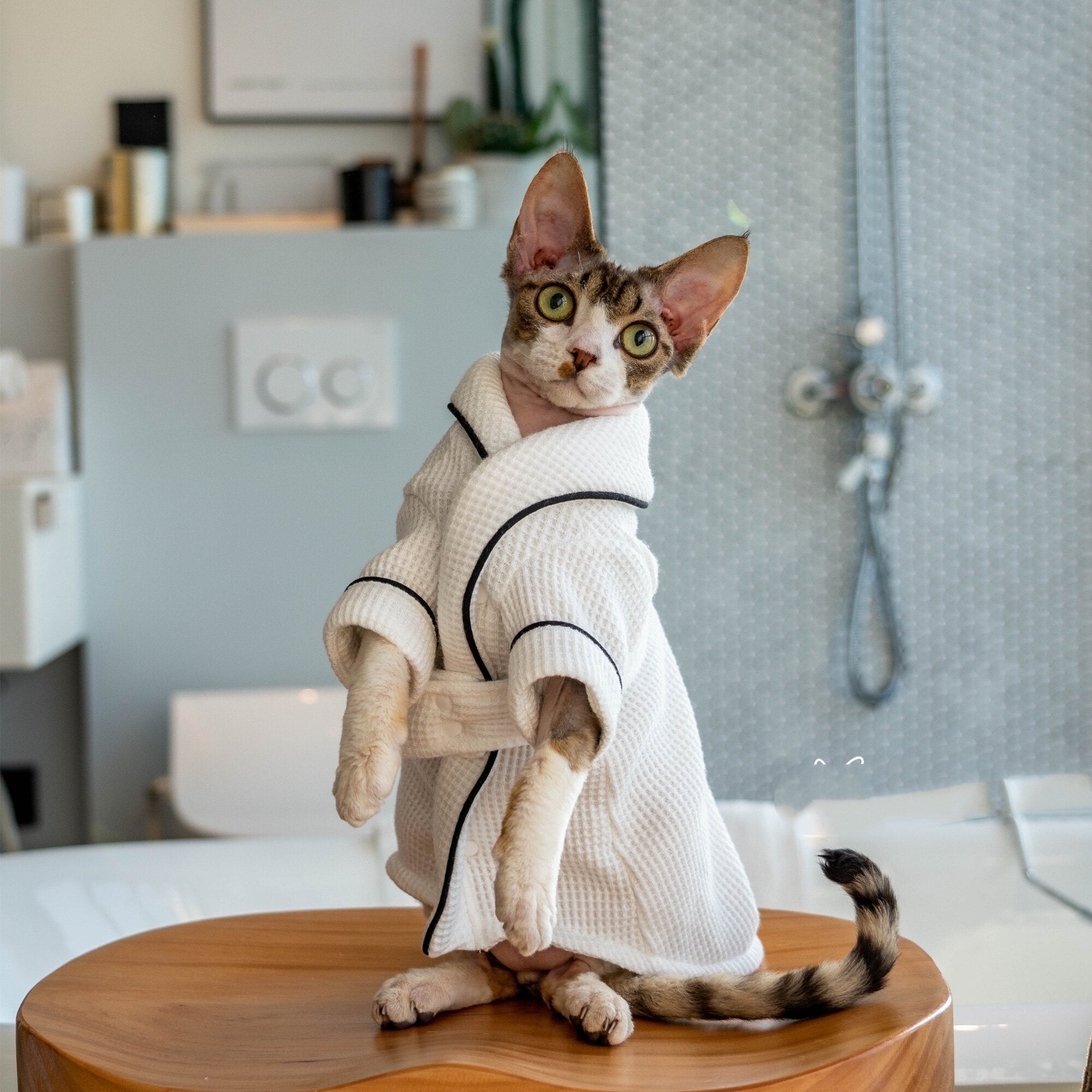 Pet Bathrobe And Bath Towel
