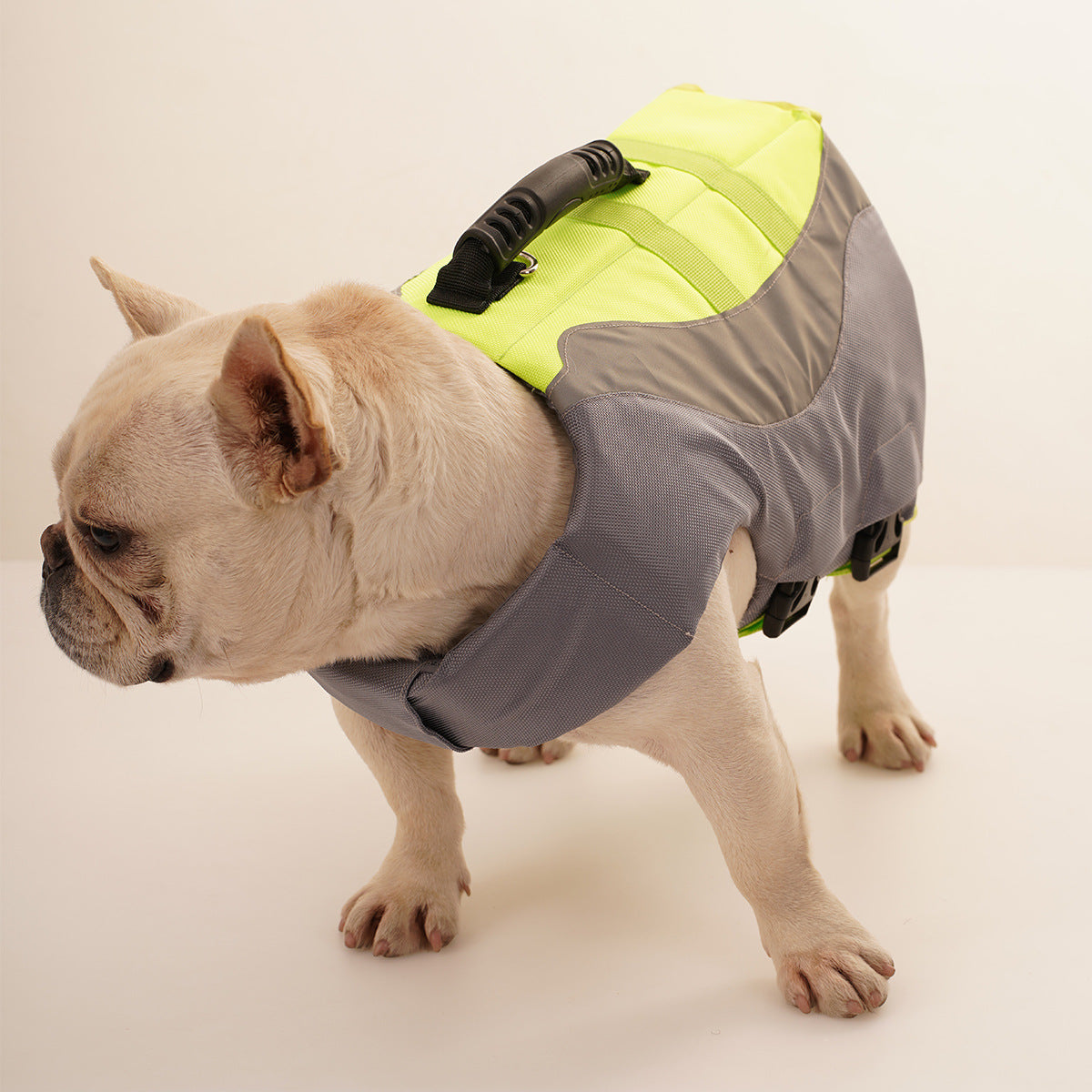 Reflective Pet Dog Swimsuit