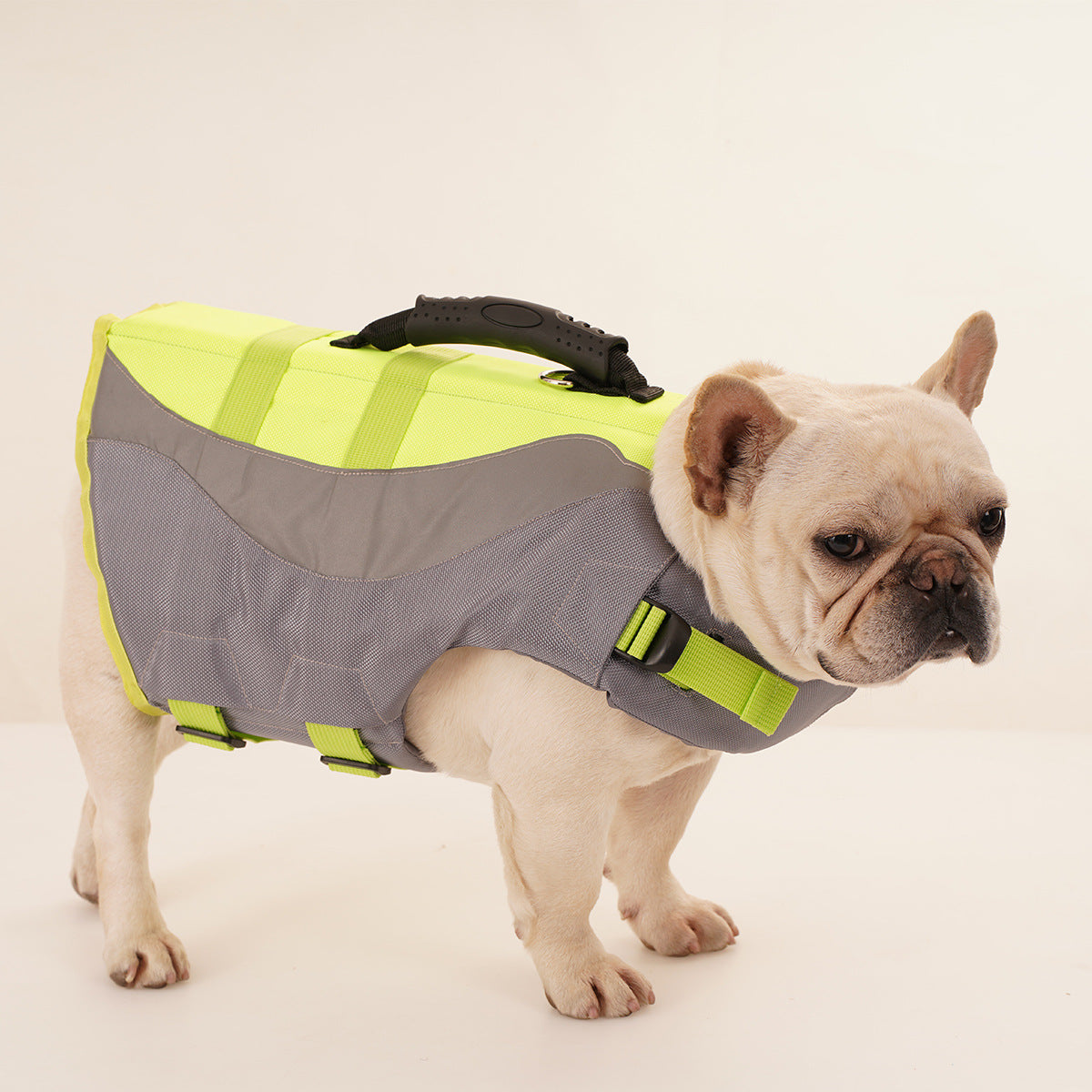 Reflective Pet Dog Swimsuit