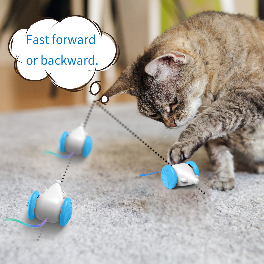 Interactive Toy For Cats Simulation Mouse