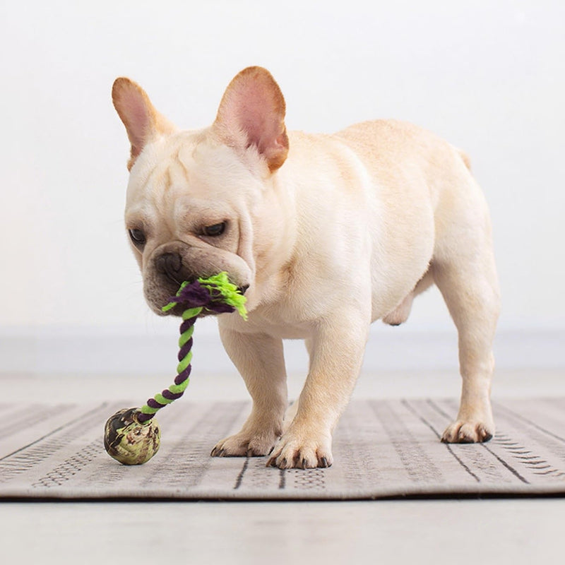 Interactive Puppy Toys For Tug-of-war